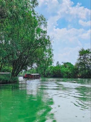 Wetland scenery